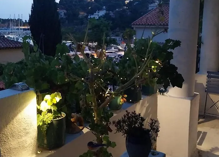 Votre terrasse vue mer sous la vigne, un havre de paix